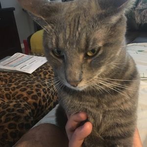 Meet your Posher, Al